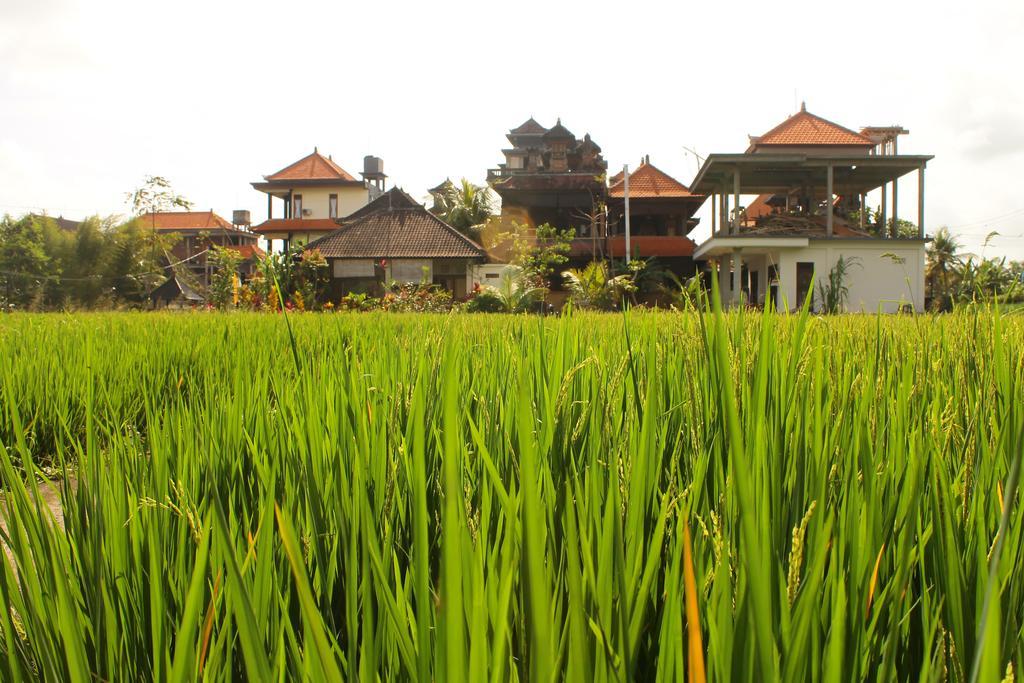 Cenik House Ubud Esterno foto